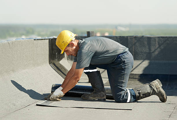 Best Insulation Maintenance and Repair in Lexington, SC