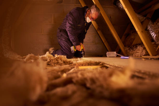 Best Insulation Maintenance and Repair in Lexington, SC